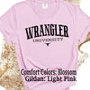 Western Graphic Tee