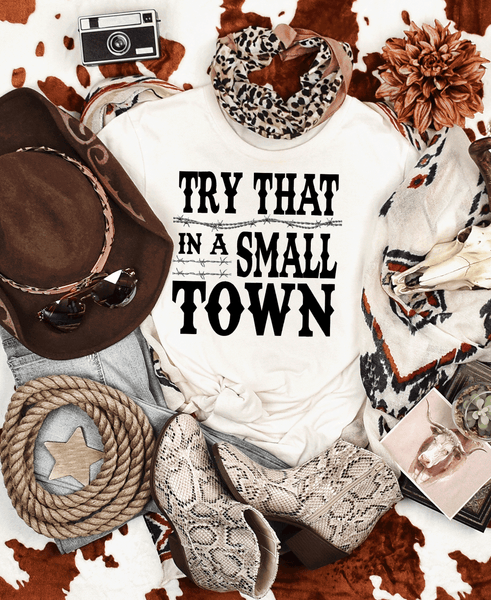 Try That In A Small Town Shirt,Trendind, Country Shirt, Southern Shirt, Jason Aldean, Girl Country Shirt, Country Music Shirt