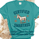 Comfort Colors® Certified Smart Ass, Donkey Farmlife funny graphic tee, funny sarcastic shirt, trendy western aesthetic cowgirl summer top, gift for her, retro rodeo club apparel
