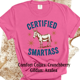 Comfort Colors® Certified Smart Ass, Donkey Farmlife funny graphic tee, funny sarcastic shirt, trendy western aesthetic cowgirl summer top, gift for her, retro rodeo club apparel