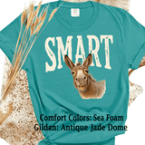 Comfort Colors® Smart Ass, Donkey Farmlife funny graphic tee, funny sarcastic shirt, trendy western aesthetic cowgirl summer top, gift for her, retro rodeo club apparel