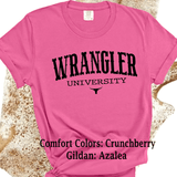 Comfort Colors® Wrangler University Rodeo Western Wear, funny sarcastic shirt, trendy western aesthetic cowgirl summer top, gift for her, retro rodeo club apparel