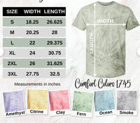 Comfort Color Colorblast Tie Dye Spring State Shirts