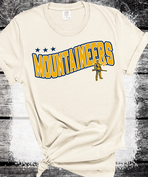 West Virginia Football, Mountaineers Crewneck Sweatshirt, WV Fan Gift, Sunday Football