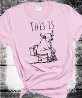 Comfort Colors® This Is Bull Shit Shirt, Joke T-shirt, Girl Tee, Animal Lover Gift, Gift For Woman, Funny Gift Tee, Farmlife,