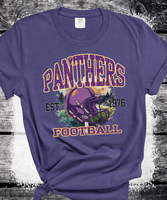 Custom Local School Vintage Sweatshirt, Spirit Wear Sweatshirt, Custom Local Shirts School Mascot Sweatshirt, Gift Idea, Liberty Hill Panthers, Texas Football