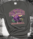 Custom Local School Vintage Sweatshirt, Spirit Wear Sweatshirt, Custom Local Shirts School Mascot Sweatshirt, Gift Idea, Liberty Hill Panthers, Texas Football