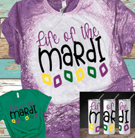 Mardi Gras Let the Shenanigans begin Distressed Bleached Tees / DTF Shirts